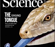 [표지로 읽는 과학] 생존에 기여한 혀의 과학