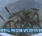 부산 수산자원연구소, 어린 감성돔·넙치 33만 마리 방류