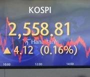 6월 서울보증·두산로보 출격…'IPO 부활' 기지개