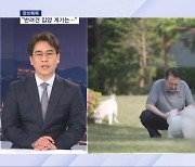 [정치톡톡] "반려견 입양 계기는…" / 지지율 올 들어 최고 / "국민 안전 외면"