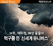 마트·백화점·패션 줄줄이 먹구름 낀 ‘신세계 유니버스’ [카드뉴스]