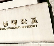 '조선시대 삼월 삼짇날 무등산 화전놀이'…전남대 연구