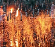 6만명 몰린 ‘K-불꽃놀이’ 함안낙화놀이...‘최악축제’ 불만 폭발