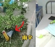 “내 꿈은 슈퍼맨”…우산 하나 들고 26층 아파트서 뛴 어린이 [여기는 중국]
