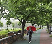 [오늘의 날씨] 울산(29일, 월)…다음날까지 최대 80㎜ 비