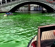 베네치아 ‘형광 초록’ 바다로…퍼렇게 질린 물의 도시