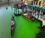 '녹색' 베네치아 운하 미스터리…범인 지목 환경단체 "안했다" [영상]