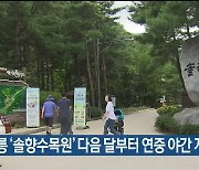 강릉 ‘솔향수목원’ 다음 달부터 연중 야간 개장