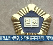 10대 청소년 성폭행, 성 착취물까지 제작…징역 6년