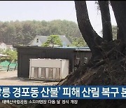 ‘강릉 경포동 산불’ 피해 산림 복구 본격