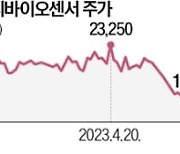 진단키트株 반등 시작되나