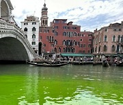 초록색 물든 伊 베네치아 운하…“정체불명 녹색 액체 퍼져, 경찰 조사중”