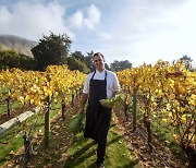 뉴질랜드 혹스베이, GWC 12번째 '세계 와인 수도' 선정