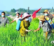 농사에 사활 걸고 있는 북한…'농촌 지원' 중요성 부각