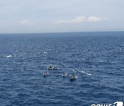 장생포 앞바다 참돌고래 2000여마리…"6~9월 자주 나타나"