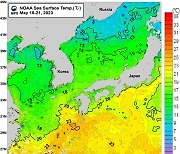 올여름 바다 수온 평년보다 최고 1도 높아진다
