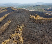 '축구장 면적의 1천 800배 피해' 홍성군 산불 원인 미궁 속으로