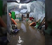 [전북] 익산에 200mm 넘는 폭우...비닐하우스 등 피해 잇따라