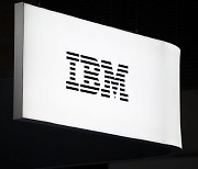 IBM, 日 라피더스에 2나노 기술 전수 본격화…"협력 확대 기대"
