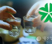 음주운전 공무원 징계 강화…칼 빼든 대전시와 5개 자치구