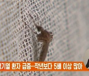 태국, 뎅기열 환자 급증…작년보다 5배 이상 많아