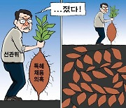 한국일보 5월 31일 만평