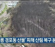 ‘강릉 경포동 산불‘ 피해 산림 복구 본격