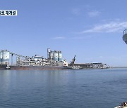 [여기는 강릉] 동해항 컨테이너 정기항로 다시 개설? 물동량 확보 관건