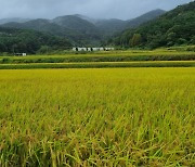 전남도, 농작물 재해보험 확대…보험료 90% 지원