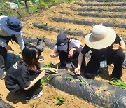 김포시 도·농 학교 친구들의 아름다운 '동행'