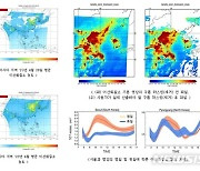 "서울 이산화질소 농도, 北 평양의 약 3배 높아"