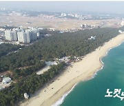 강릉시, 해안가 송림지역 '난개발' 막는다…공원화 사업 '탄력'