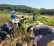 전남농협, 광주대학교와 농촌 봉사활동 펼쳐