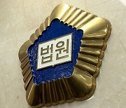 절차적 요건 미비한 임금피크제 무효…법원 "임금차액 지급해야"