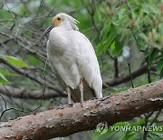 이만큼 자랏어요