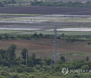 모내기하는 북한 주민들
