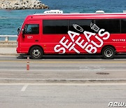 강릉 '시티(SeaTea)버스' 타고…BTS정류장·더글로리 방파제 가보자