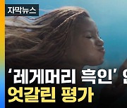 [자막뉴스] '레게머리 흑인' 인어공주?...'별점테러' 속 엇갈린 평가