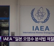 IAEA “일본 오염수 분석법 적절”