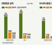 美·EU ‘경쟁 제한’ 딴지에 합병 난기류…아시아나 인수 먹구름 낀 대한항공