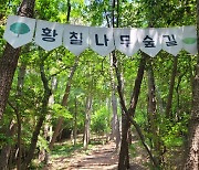 [부산소식] 부산시설공단, 태종대유원지 황칠나무숲길 정비 등