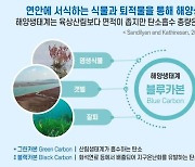 해수부, 탄소 잡는 '블루카본' 확대…"탄소중립·기후위기 대응"