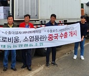 김해 대동농협, 양란 중국 수출
