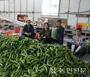 경제사업 활성화로 농가소득 이끄는 천현농협