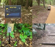 부산시설공단, 태종대유원지 황칠나무숲길 정비