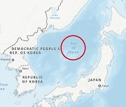 유엔 지도 '일본해' 단독 표기에 서경덕 "동해 병기" 촉구