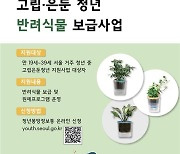 서울시, 고립·은둔청년 500명에게 반려식물 보급