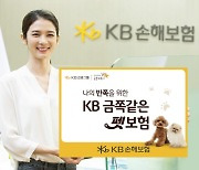 "멍집사, 치료비 걱정 뚝"···KB손보, 'KB금쪽같은 펫보험' 출시