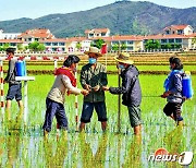 농사 주력하는 북한 "과학적인 비배관리" 강조