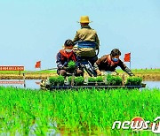 농사에 사활거는 북한 "과학적인 비배관리법 수립해야"